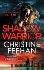 Shadow Warrior - Preview