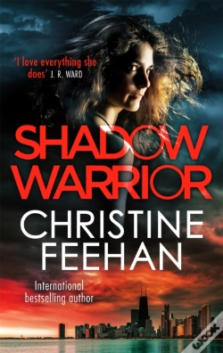 Capa do artigo Shadow Warrior