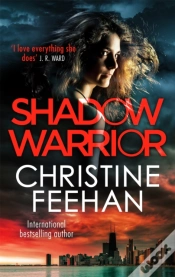 Capa do artigo Shadow Warrior