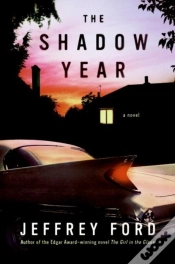 Capa do artigo Shadow Year