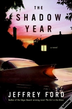 Capa do artigo Shadow Year