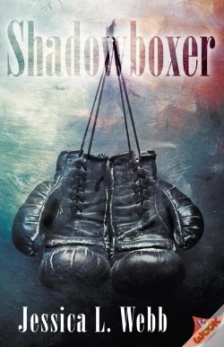 Capa do artigo Shadowboxer