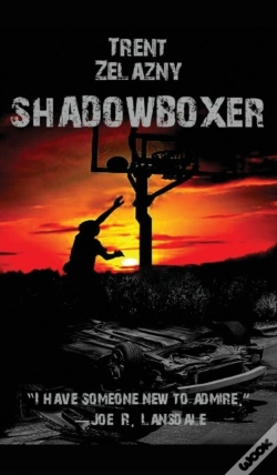 Capa do artigo Shadowboxer