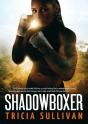 Shadowboxer - Preview