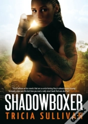 Capa do artigo Shadowboxer