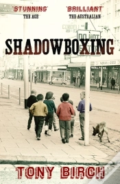 Capa do artigo Shadowboxing