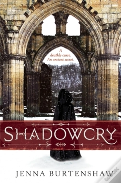 Capa do artigo Shadowcry