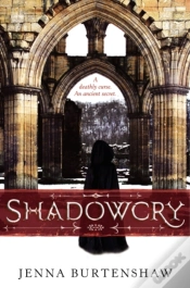 Capa do artigo Shadowcry