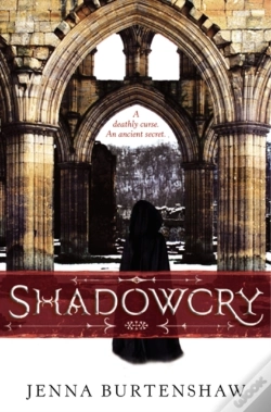 Capa do artigo Shadowcry