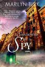 Shadowed By A Spy - Preview