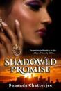 Shadowed Promise - Preview