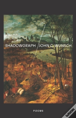 Capa do artigo Shadowgraph