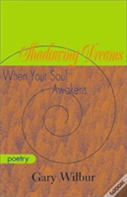Capa do artigo Shadowing Dreams