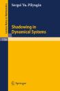 Shadowing In Dynamical Systems - Preview