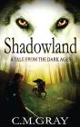 Shadowland - Preview