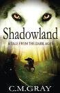 Shadowland - Preview