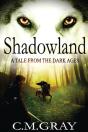 Shadowland - Preview