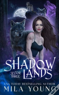 Capa do artigo Shadowlands Sector Three