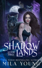 Capa do artigo Shadowlands Sector Three
