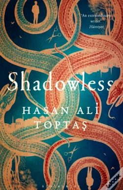Capa do artigo Shadowless