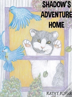 Capa do artigo Shadow'S Adventure Home