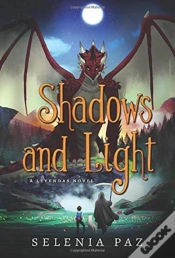 Capa do artigo Shadows And Light
