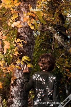 Capa do artigo Shadows Form Light