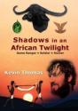 Shadows In An African Twilight - Preview