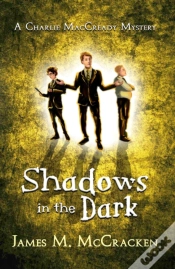 Capa do artigo Shadows In The Dark