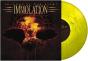 Shadows in the Light - Vinil - Preview