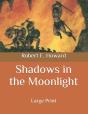 Shadows In The Moonlight - Preview