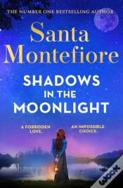 Capa do artigo Shadows In The Moonlight