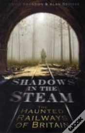 Capa do artigo Shadows In The Steam