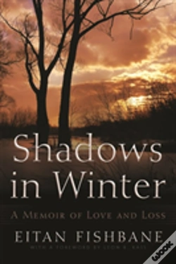 Capa do artigo Shadows In Winter