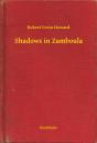 Shadows In Zamboula - Preview