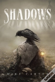 Capa do artigo Shadows