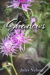 Capa do artigo Shadows