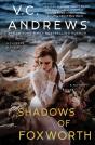 Shadows Of Foxworth - Preview
