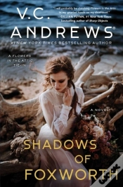 Capa do artigo Shadows Of Foxworth