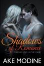 Shadows Of Romance: Making Love In The D - Preview