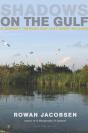Shadows On The Gulf - Preview