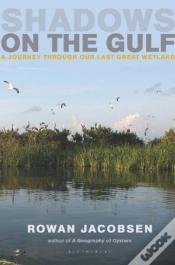Capa do artigo Shadows On The Gulf
