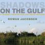 Shadows On The Gulf - Preview