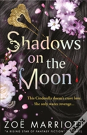 Capa do artigo Shadows On The Moon