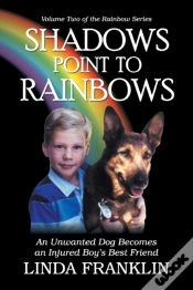 Capa do artigo Shadows Point To Rainbows: An Unwanted D