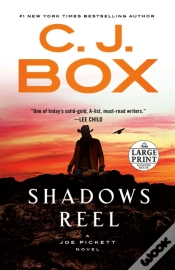 Capa do artigo Shadows Reel