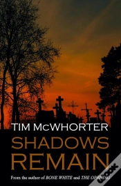 Capa do artigo Shadows Remain