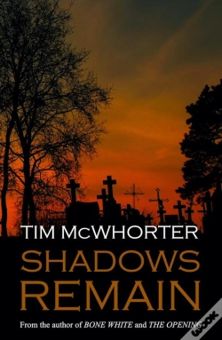 Capa do artigo Shadows Remain