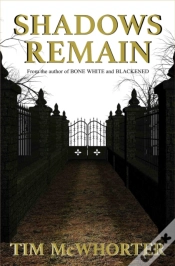 Capa do artigo Shadows Remain