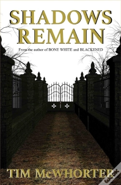Capa do artigo Shadows Remain